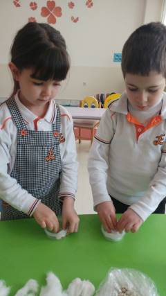 Evrensel Kolej